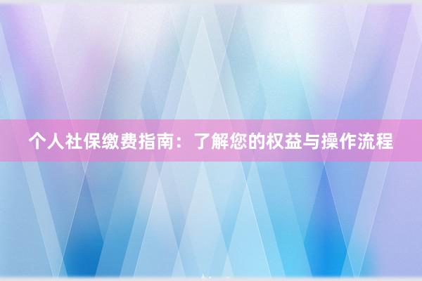 个人社保缴费指南：了解您的权益与操作流程